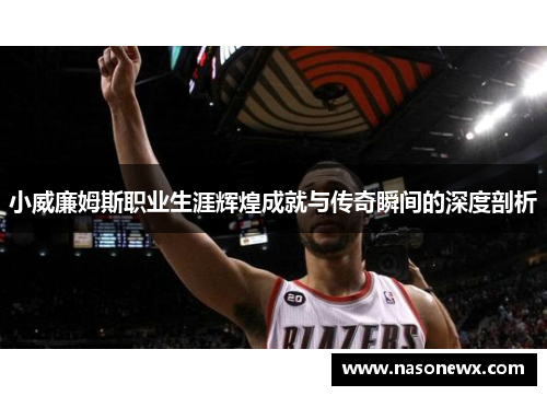 小威廉姆斯职业生涯辉煌成就与传奇瞬间的深度剖析